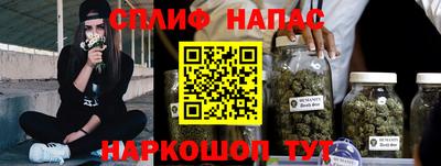гидра Гусев