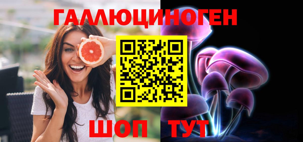 Псилоцибиновые грибы прущие грибы Нальчик